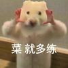 熙熙的星星