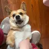 SpidaPR