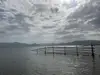 照母山李镇全