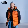 清远谢菲尔德联小马