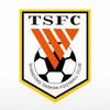 山东泰山fc必胜