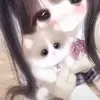 河南卡利亚里小韦
