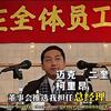 来自沈阳的斑马