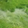 内蒙古亚洲最佳年轻球员小严2