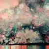 瓜的哦了