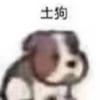 东营守门员小陈2