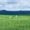 缅因路的月光