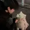 hfhgggcc