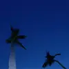 满地都是头发