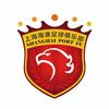 上海海港无敌