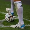 Kroos2014