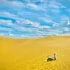 太原边锋小张7