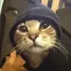 雨下的泪