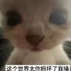 球迷3331037