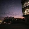 实况足球huo与星
