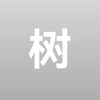 欧洲金靴奖小周6
