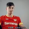 AAA毛驴饲养凯师傅