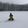 高冷随风