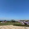 荔枝真好吃