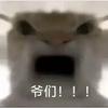 哈好哈哈