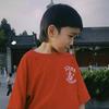 山东泰山谢文能