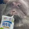 毕敬一