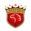 tiaoseyou
