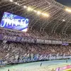 黎明前黑暗见证信仰TEDA