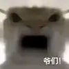 青清清清