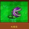 冰清玉洁的大嘴花