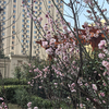 滨州莱茵能源体育场小夏