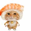 魔仙堡的迪巴拉小魔仙