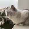 土豆豆_