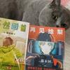 ENIC走开