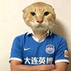 大连哈基米
