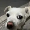 阿無5