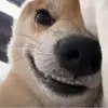 殴帝三拳崔季舒
