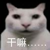广州马佩三色城球场小熊5