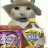 安庆FC安道尔小孔