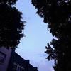 traveling丨light