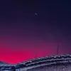 布丁和毁灭菇