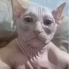 王钰栋铁粉