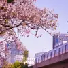 北京亦庄里克尔梅