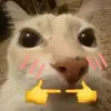 马雷斯卡的初恋