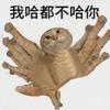 呃鹅鹅考