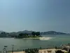 秦y