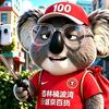 凯旋球门看球呢
