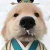 我生之初尚无为