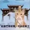麻辣牛油火锅