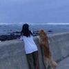 conquitos